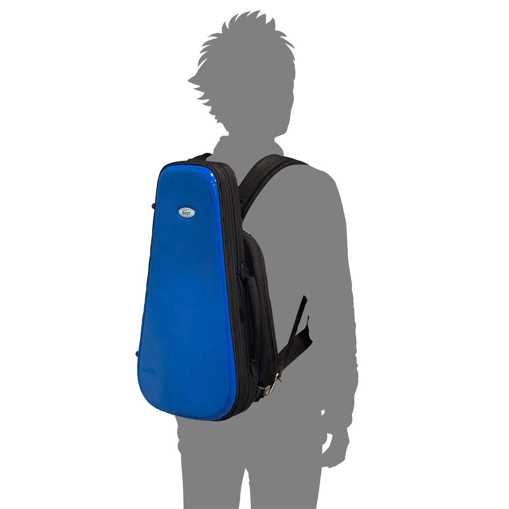 Amazon | bags (バッグス) ピストン トランペット 用 ファイバーケース